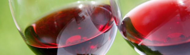 A boutique vineyard in Clare Valley, South Australia producing premium Cabernet Sauvignon