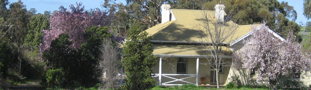 A boutique vineyard in Clare Valley, South Australia producing premium Cabernet Sauvignon