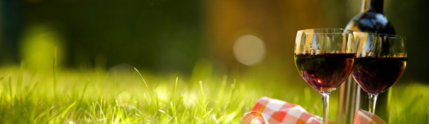 A boutique vineyard in Clare Valley, South Australia producing premium Cabernet Sauvignon